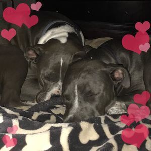 Meet your Posher, Aimee